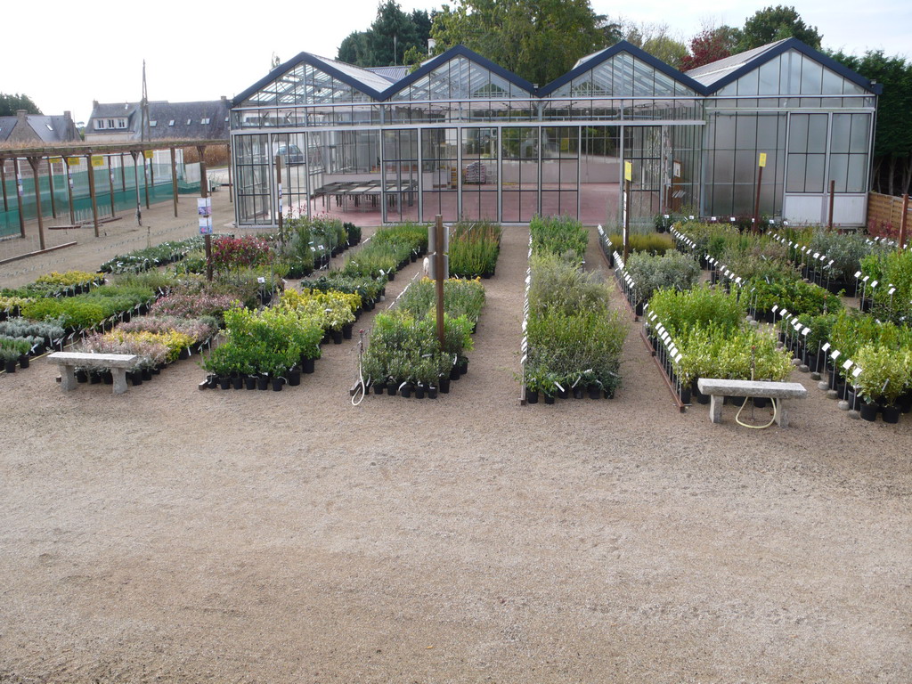 Exposition-vente après approvisionnement des plantes de septembre